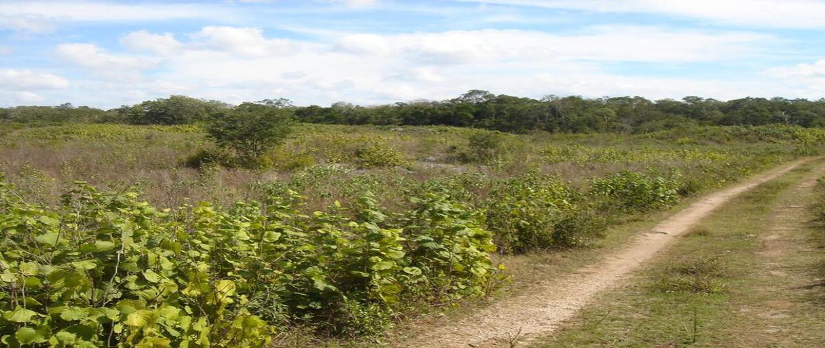 Foto de terreno habitacional en venta en carretera federal mérida-valladolid , cancún centro, benito juárez, quintana roo, 3935714 No. 01