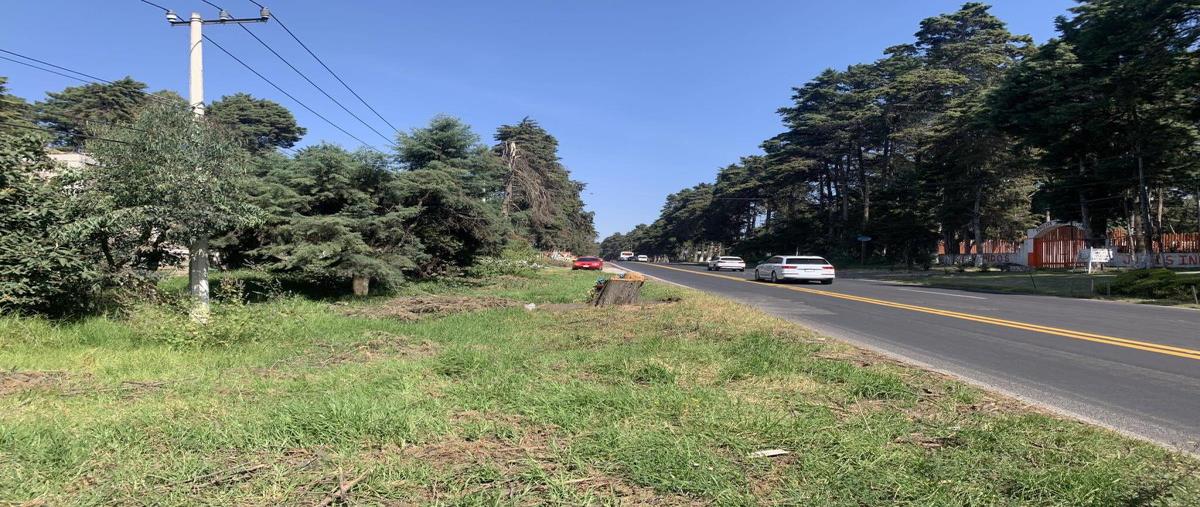 Foto de local en renta en carretera federal mex-cuautla km78, las delicias, atlautla, méxico, 27421611 No. 05