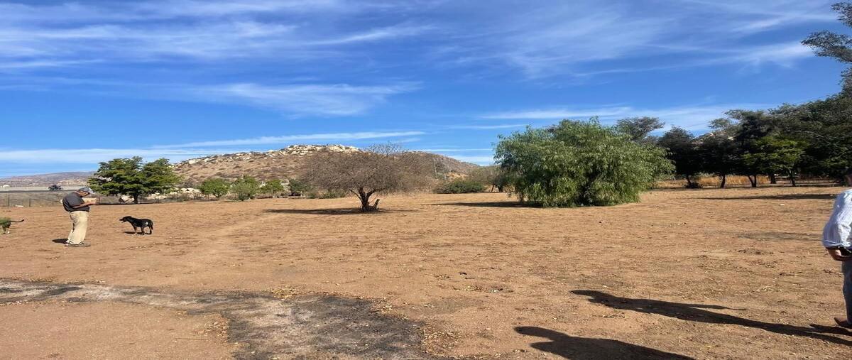 Foto de terreno habitacional en venta en carretera federal mexicali-tijuana , rancho gandul, tecate, baja california, 28964039 No. 01