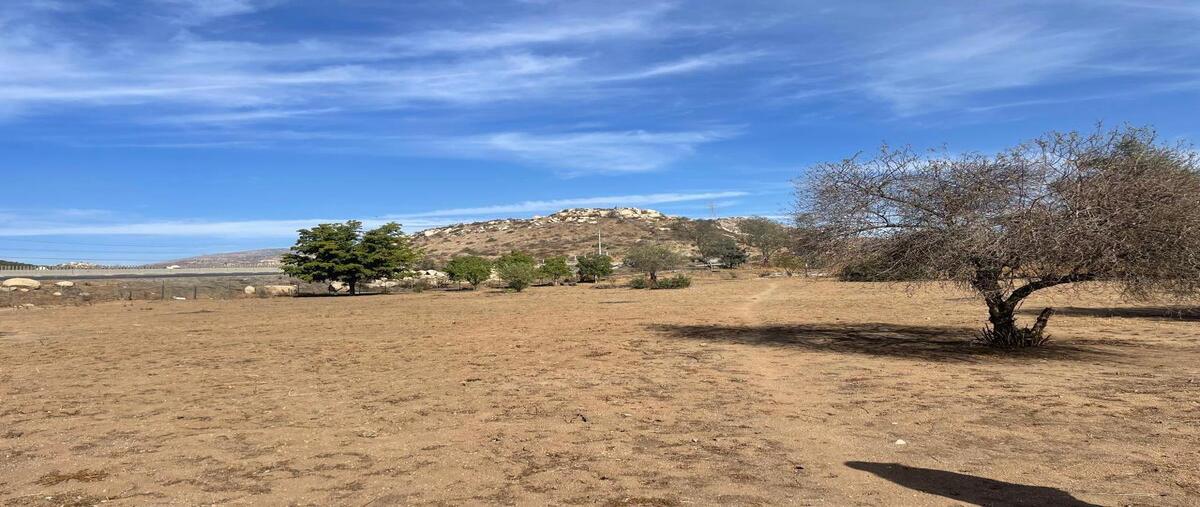 Foto de terreno habitacional en venta en carretera federal mexicali-tijuana , rancho gandul, tecate, baja california, 28964039 No. 04
