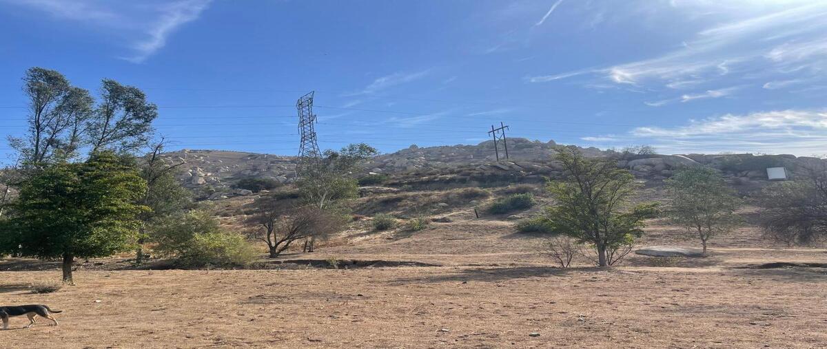 Foto de terreno habitacional en venta en carretera federal mexicali-tijuana , rancho gandul, tecate, baja california, 28964039 No. 05