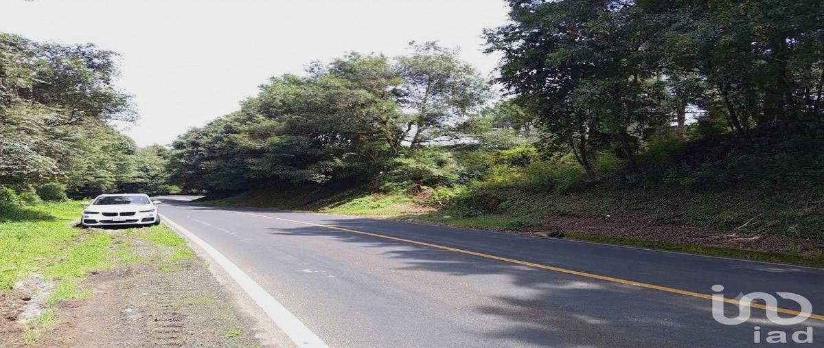 Foto de terreno comercial en carretera federal méxico tuxpan. 118, santa catarina, huauchinango, puebla, 31769597 foto 02 Foto de terreno comercial en venta en carretera federal méxico tuxpan. 118, santa catarina, huauchinango, puebla, 31769597 No. 02