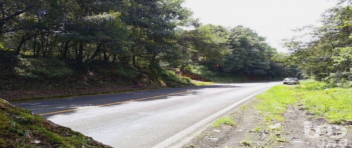 Foto de terreno comercial en carretera federal méxico tuxpan. 118, santa catarina, huauchinango, puebla, 31769597 foto 03 Foto de terreno comercial en venta en carretera federal méxico tuxpan. 118, santa catarina, huauchinango, puebla, 31769597 No. 03