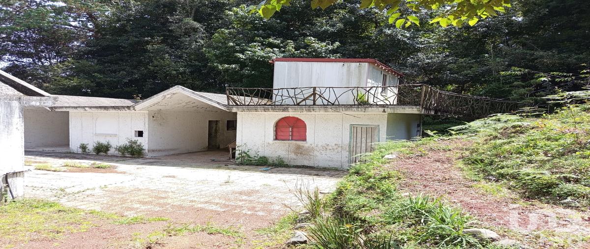 Foto de terreno comercial en carretera federal méxico tuxpan. 118, santa catarina, huauchinango, puebla, 31769597 foto 05 Foto de terreno comercial en venta en carretera federal méxico tuxpan. 118, santa catarina, huauchinango, puebla, 31769597 No. 05