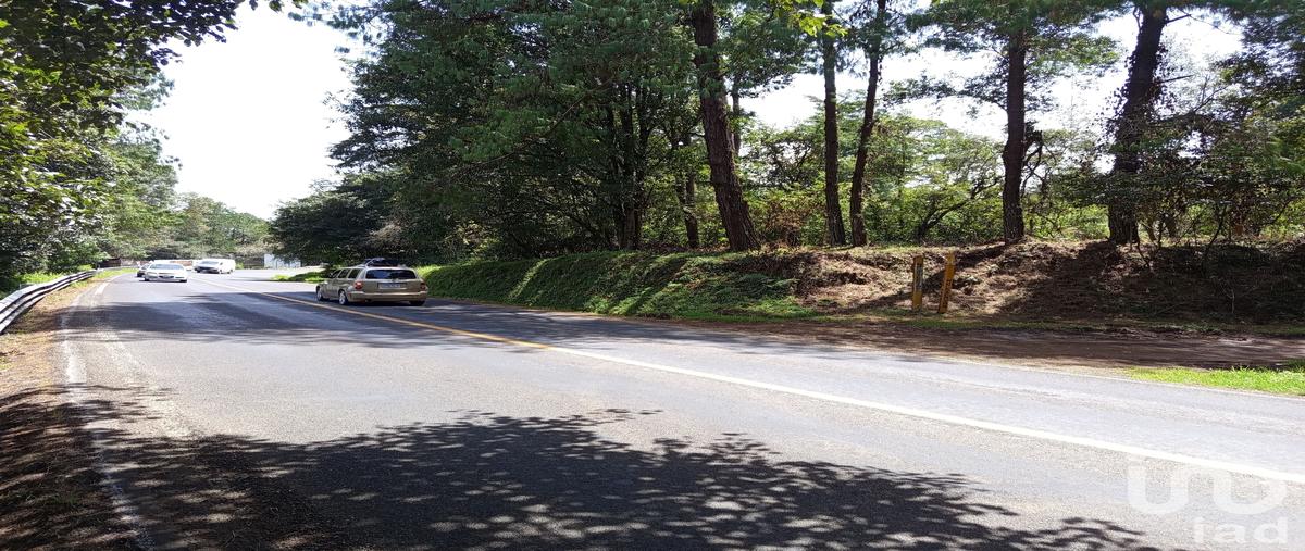 Foto de terreno comercial en carretera federal méxico tuxpan. 70, santa catarina, huauchinango, puebla, 31769566 foto 03 Foto de terreno comercial en venta en carretera federal méxico tuxpan. 70, santa catarina, huauchinango, puebla, 31769566 No. 03