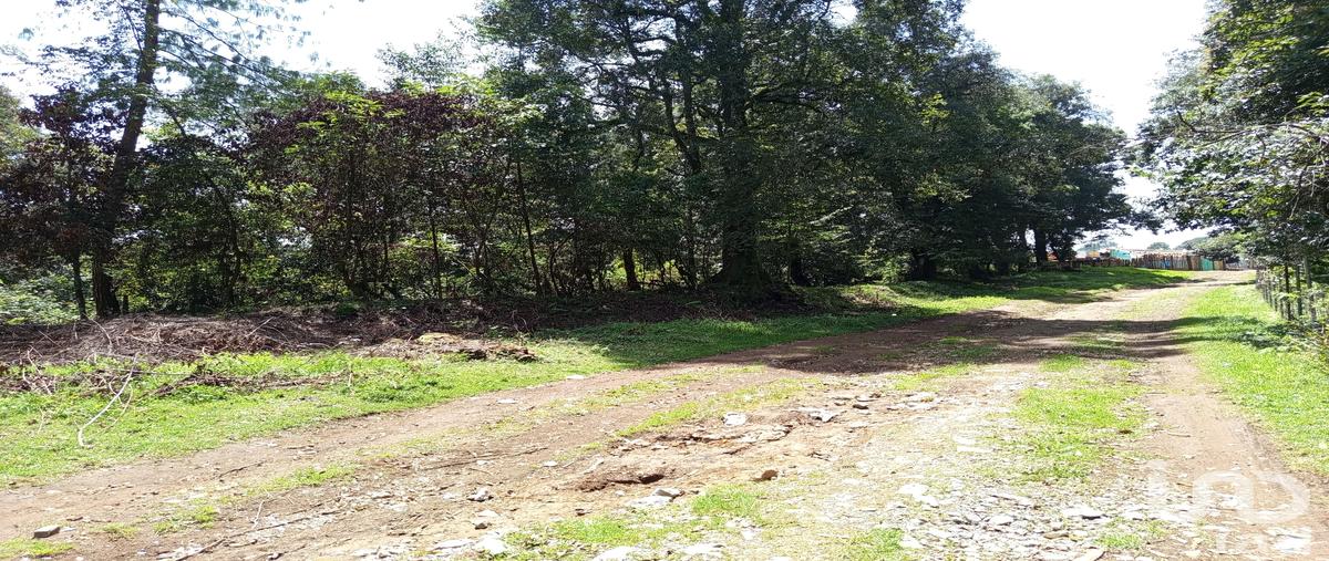 Foto de terreno comercial en carretera federal méxico tuxpan. 70, santa catarina, huauchinango, puebla, 31769566 foto 04 Foto de terreno comercial en venta en carretera federal méxico tuxpan. 70, santa catarina, huauchinango, puebla, 31769566 No. 04