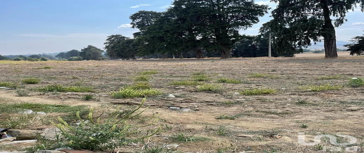 Foto de terreno industrial en renta en carretera federal méxico-cuautla , santiago, ozumba, méxico, 0 No. 04