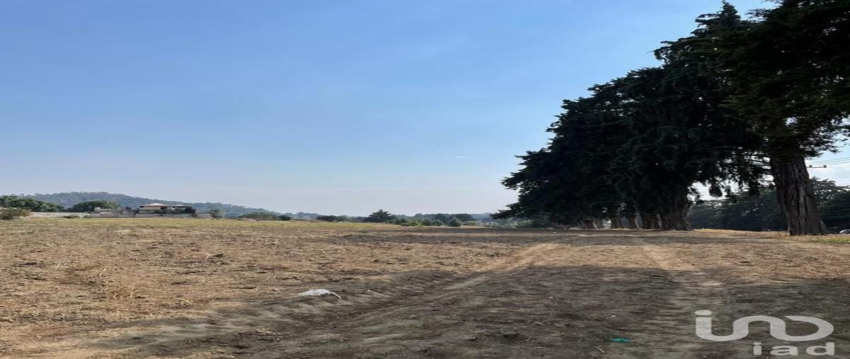 Foto de terreno industrial en renta en carretera federal méxico-cuautla , santiago, ozumba, méxico, 0 No. 05