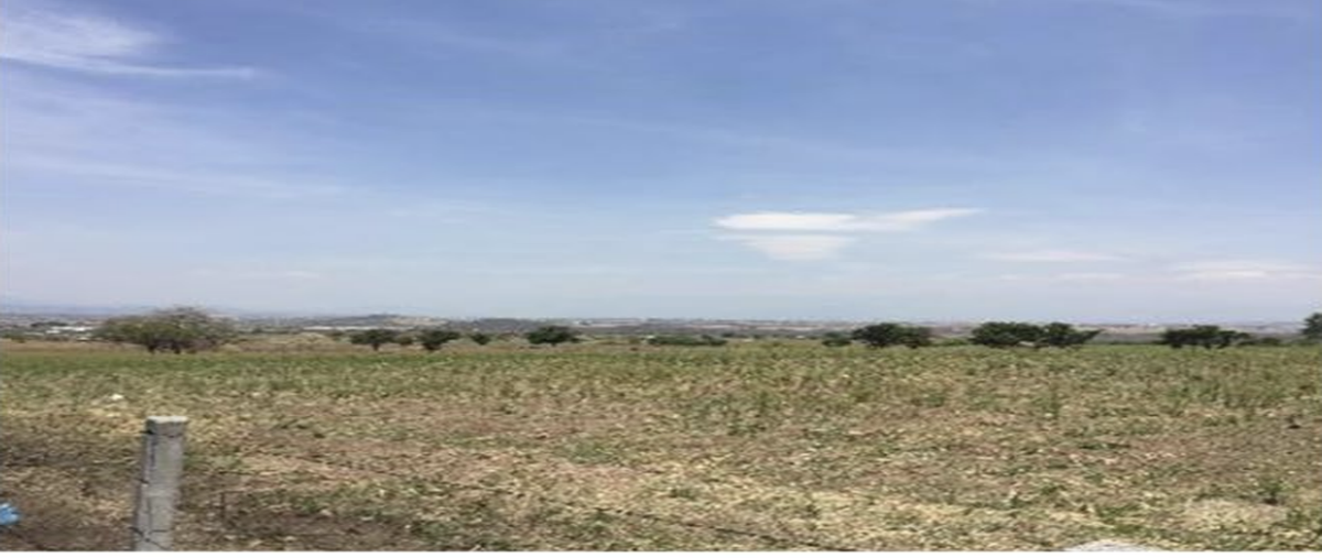 Foto de terreno habitacional en carretera federal méxico-oaxaca , tlayecac, ayala, morelos, 30041388 foto 03 Foto de terreno habitacional en venta en carretera federal méxico-oaxaca , tlayecac, ayala, morelos, 30041388 No. 03