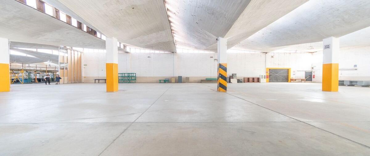 Foto de bodega en renta en carretera federal méxico-puebla , floresta, la paz, méxico, 0 No. 03