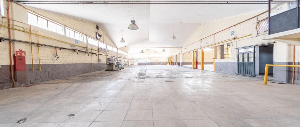 Foto de bodega en renta en carretera federal méxico-puebla , floresta, la paz, méxico, 30968125 No. 05