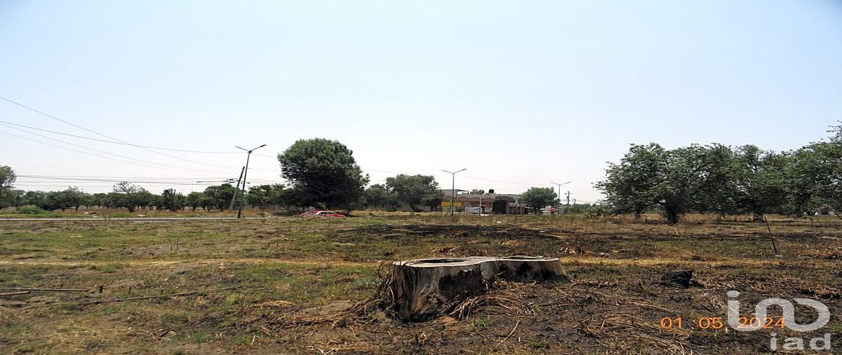 Foto de terreno habitacional en venta en carretera federal mexico-puebla , segundo, huejotzingo, puebla, 30655519 No. 03
