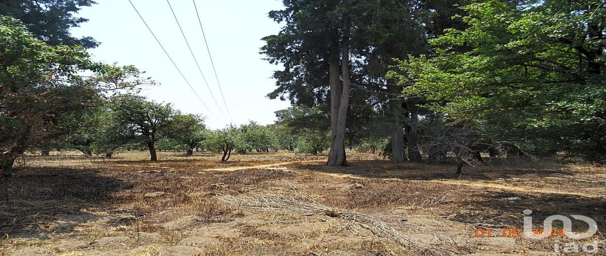 Foto de terreno habitacional en venta en carretera federal mexico-puebla , segundo, huejotzingo, puebla, 30655519 No. 04