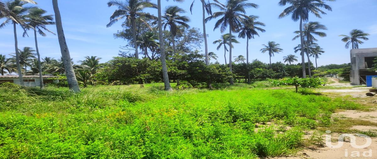 Foto de terreno habitacional en carretera federal , monte gordo, tecolutla, veracruz de ignacio de la llave, 28721395 foto 03 Foto de terreno habitacional en venta en carretera federal , monte gordo, tecolutla, veracruz de ignacio de la llave, 28721395 No. 03