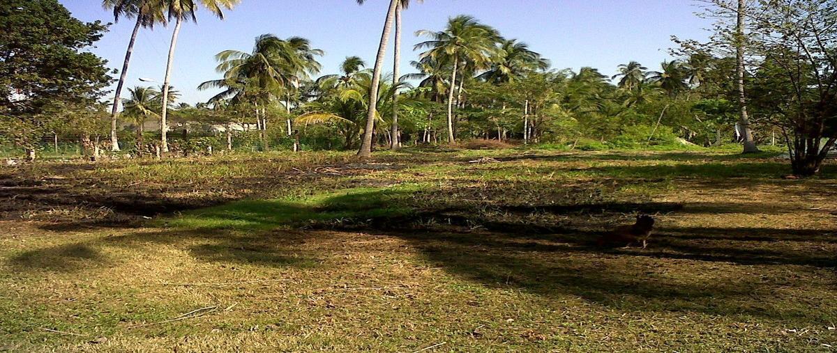 Foto de terreno comercial en carretera federal paraíso pto ceiba , puerto ceiba, paraíso, tabasco, 26907834 foto 02 Foto de terreno comercial en venta en carretera federal paraíso pto ceiba , puerto ceiba, paraíso, tabasco, 26907834 No. 02
