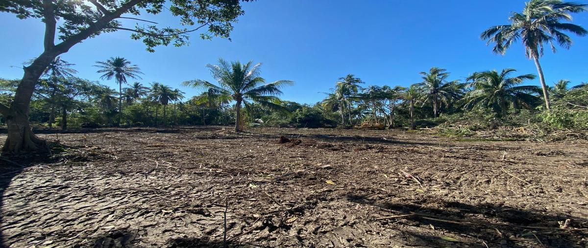 Foto de terreno comercial en carretera federal paraiso-puerto ceiba , la ceiba, paraíso, tabasco, 18472751 foto 04 Foto de terreno comercial en venta en carretera federal paraiso-puerto ceiba , la ceiba, paraíso, tabasco, 18472751 No. 04