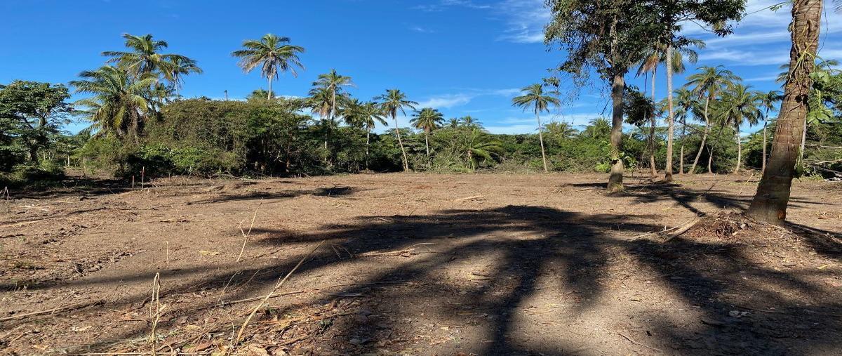Foto de terreno comercial en renta en carretera federal paraiso-puerto ceiba , la unión, paraíso, tabasco, 21587058 No. 05
