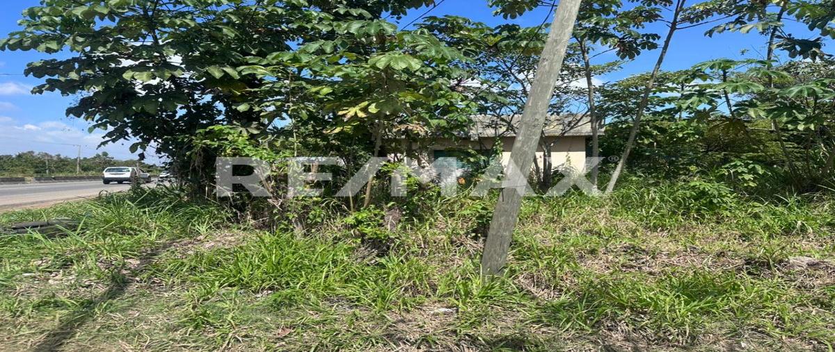 Foto de terreno comercial en venta en carretera federal , parrilla 5ta. sección (el carmen), centro, tabasco, 0 No. 03
