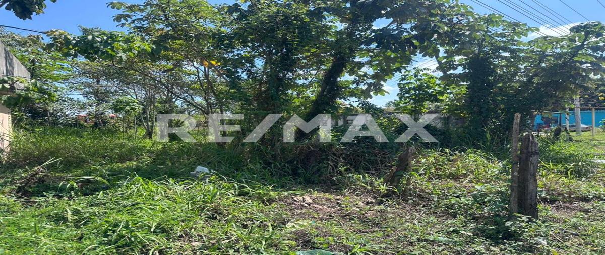 Foto de terreno comercial en venta en carretera federal , parrilla 5ta. sección (el carmen), centro, tabasco, 0 No. 04