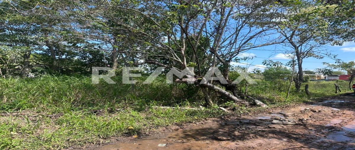 Foto de terreno comercial en venta en carretera federal , parrilla 5ta. sección (el carmen), centro, tabasco, 0 No. 05