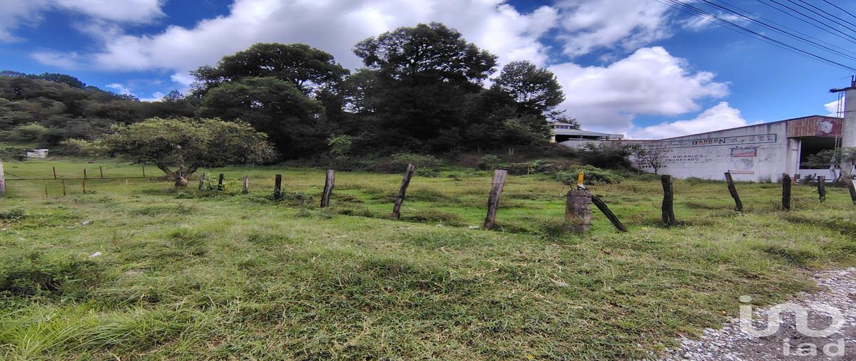 Foto de terreno industrial en venta en carretera federal , piletas, rafael lucio, veracruz de ignacio de la llave, 28725992 No. 05