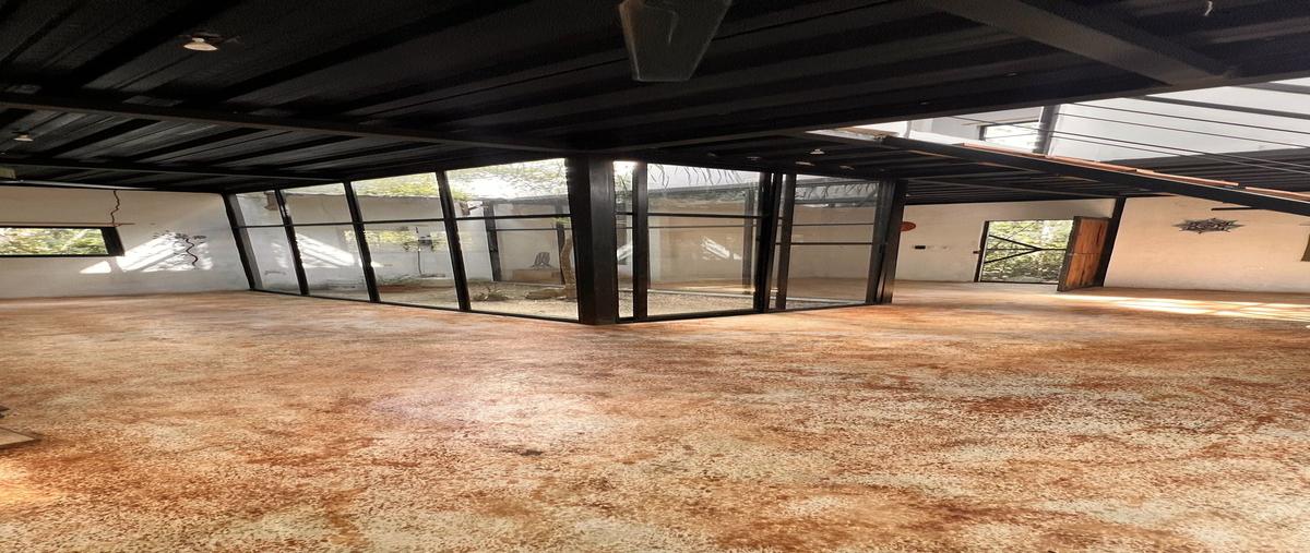 Foto de terreno habitacional en venta en carretera federal playa del carmen- tulum , bahías de punta solimán, tulum, quintana roo, 0 No. 03