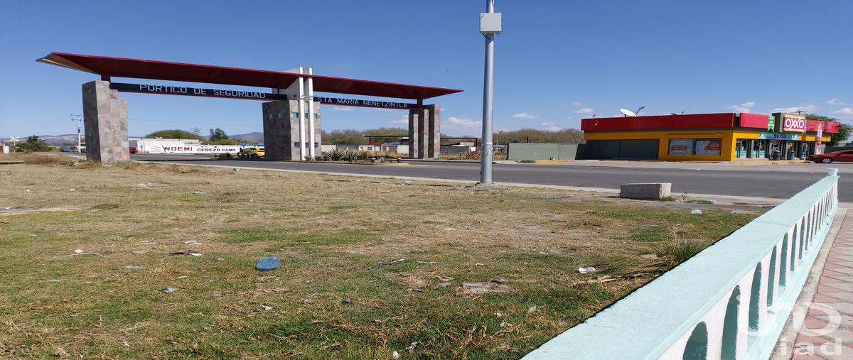 Foto de terreno comercial en venta en carretera federal puebla-tehuacán , santa maría nenetzintla, acajete, puebla, 29302361 No. 04