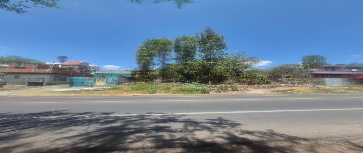 Foto de terreno habitacional en venta en carretera federal salamanca morelia , san josé cuaracurio, uriangato, guanajuato, 0 No. 04