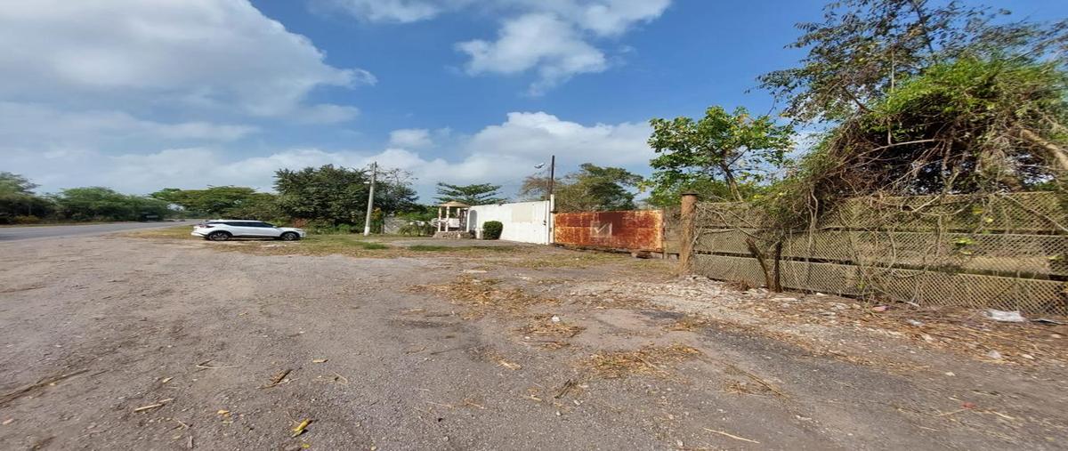 Foto de terreno comercial en carretera federal tamaulipas-panuco , corregidora, pánuco, veracruz de ignacio de la llave, 28174642 foto 03 Foto de terreno comercial en venta en carretera federal tamaulipas-panuco , corregidora, pánuco, veracruz de ignacio de la llave, 28174642 No. 03