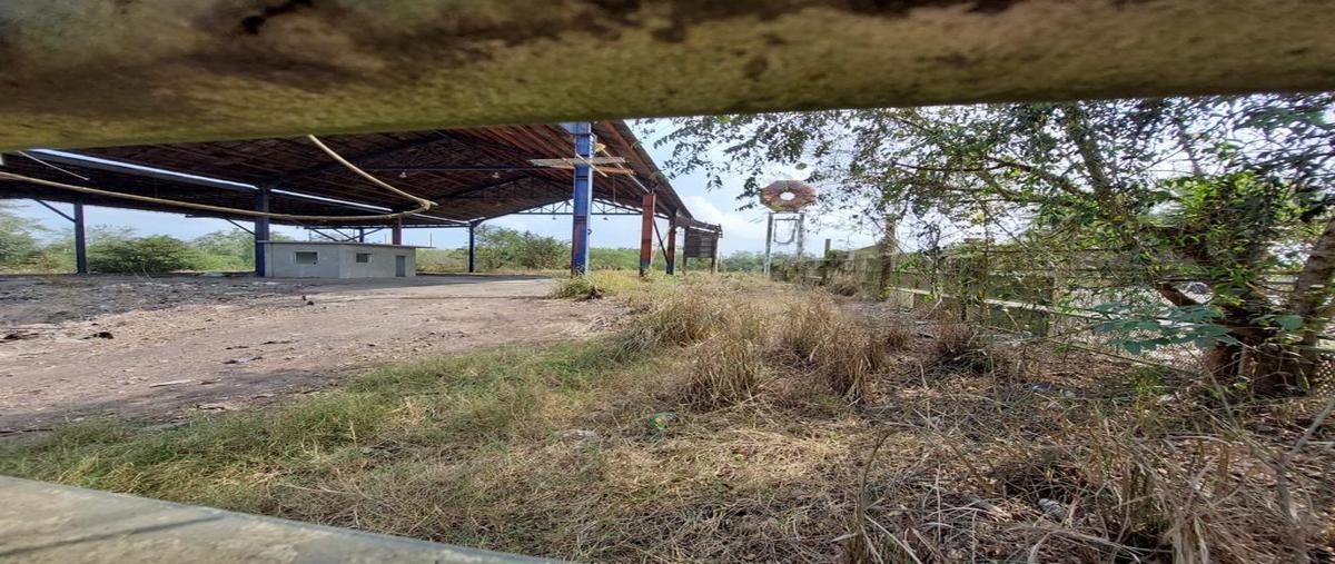 Foto de terreno comercial en carretera federal tamaulipas-panuco , corregidora, pánuco, veracruz de ignacio de la llave, 28174642 foto 05 Foto de terreno comercial en venta en carretera federal tamaulipas-panuco , corregidora, pánuco, veracruz de ignacio de la llave, 28174642 No. 05