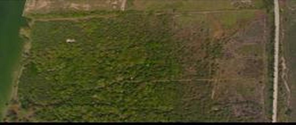 Foto de terreno comercial en carretera federal tampico-tuxpan , anáhuac, pueblo viejo, veracruz de ignacio de la llave, 8323272 foto 01 Foto de terreno comercial en venta en carretera federal tampico-tuxpan , anáhuac, pueblo viejo, veracruz de ignacio de la llave, 8323272 No. 01