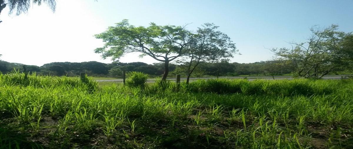 Foto de terreno comercial en carretera federal tampico-tuxpan , mata redonda, pueblo viejo, veracruz de ignacio de la llave, 2651502 foto 02 Foto de terreno comercial en venta en carretera federal tampico-tuxpan , mata redonda, pueblo viejo, veracruz de ignacio de la llave, 2651502 No. 02