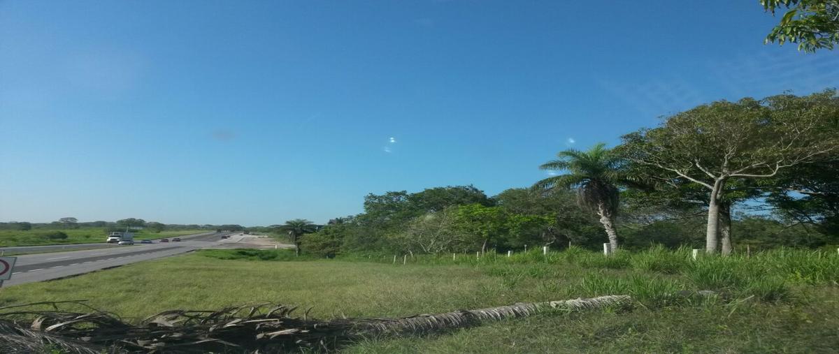 Foto de terreno comercial en carretera federal tampico-tuxpan , mata redonda, pueblo viejo, veracruz de ignacio de la llave, 2651502 foto 03 Foto de terreno comercial en venta en carretera federal tampico-tuxpan , mata redonda, pueblo viejo, veracruz de ignacio de la llave, 2651502 No. 03
