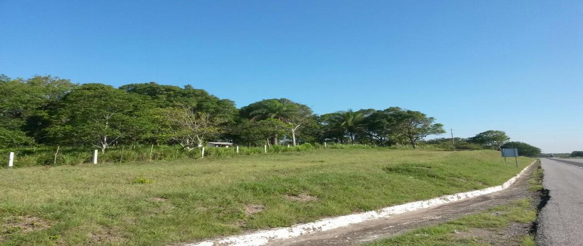Foto de terreno comercial en carretera federal tampico-tuxpan , mata redonda, pueblo viejo, veracruz de ignacio de la llave, 2651502 foto 04 Foto de terreno comercial en venta en carretera federal tampico-tuxpan , mata redonda, pueblo viejo, veracruz de ignacio de la llave, 2651502 No. 04