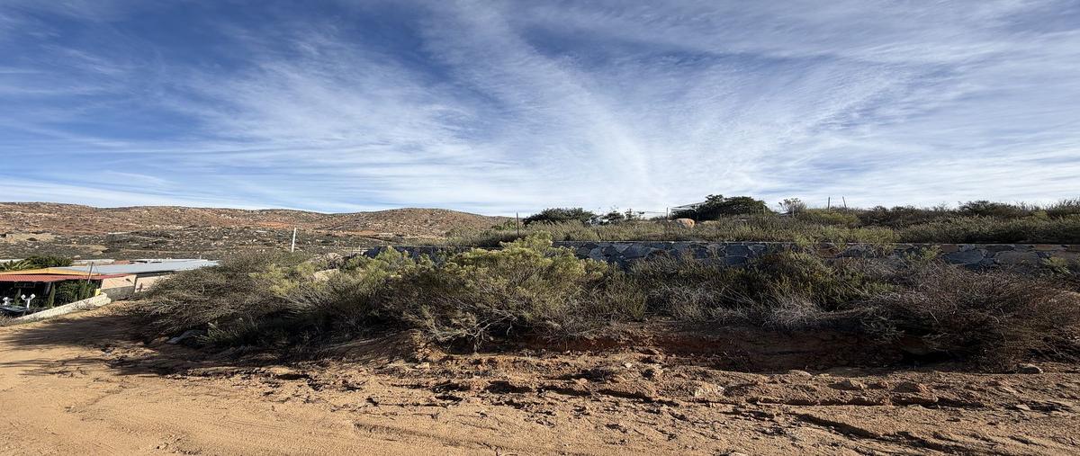 Foto de terreno habitacional en venta en carretera federal tecate-ensenada kilometro 6.435 , salamandra, tecate, baja california, 31114961 No. 03