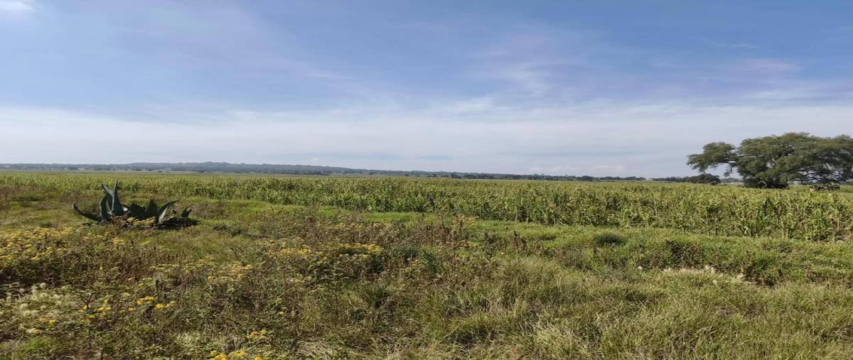 Foto de terreno industrial en venta en carretera federal tequisquiac- zumpango , villas de zumpango, zumpango, méxico, 31813074 No. 05