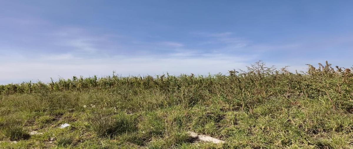 Foto de terreno industrial en venta en carretera federal tequisquiac- zumpango , villas de zumpango, zumpango, méxico, 31813074 No. 06