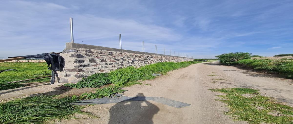 Foto de terreno habitacional en venta en carretera federal toluca tenango , mexicaltzingo, mexicaltzingo, méxico, 18596481 No. 03