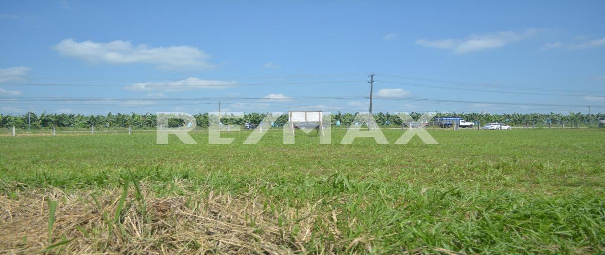 Foto de terreno comercial en venta en carretera federal villahermosa-teapa , manuel buelta 2a secc, teapa, tabasco, 0 No. 03