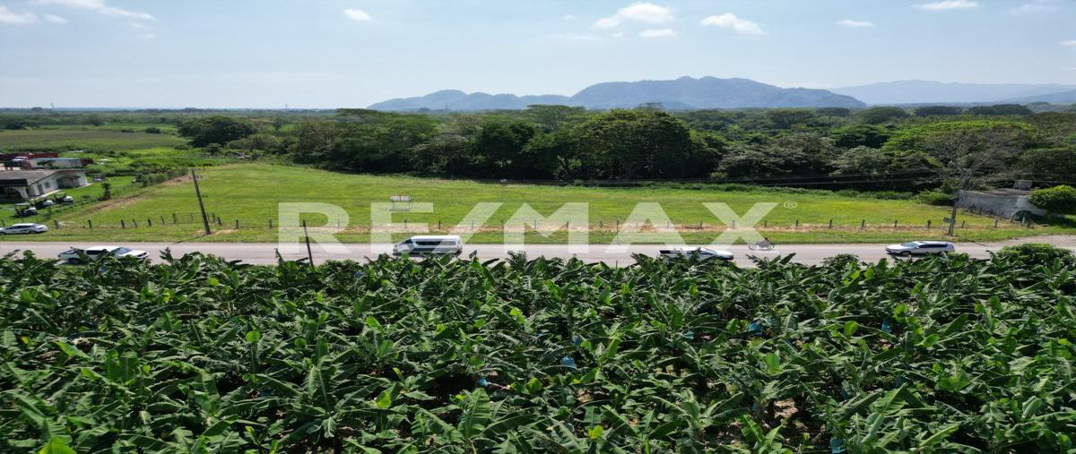 Foto de terreno comercial en carretera federal villahermosa-teapa , manuel buelta 2a secc, teapa, tabasco, 31072568 foto 05 Foto de terreno comercial en venta en carretera federal villahermosa-teapa , manuel buelta 2a secc, teapa, tabasco, 31072568 No. 05