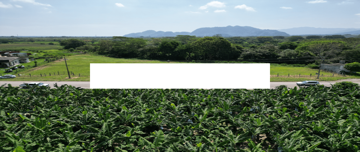 Foto de terreno comercial en venta en carretera federal villahermosa-teapa , manuel buelta 2a secc, teapa, tabasco, 0 No. 05