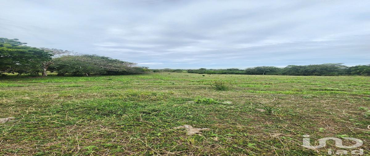 Foto de terreno comercial en venta en carretera federal xalapa veracruz kilometro 88.5 , puente de jula, paso de ovejas, veracruz de ignacio de la llave, 30909215 No. 03