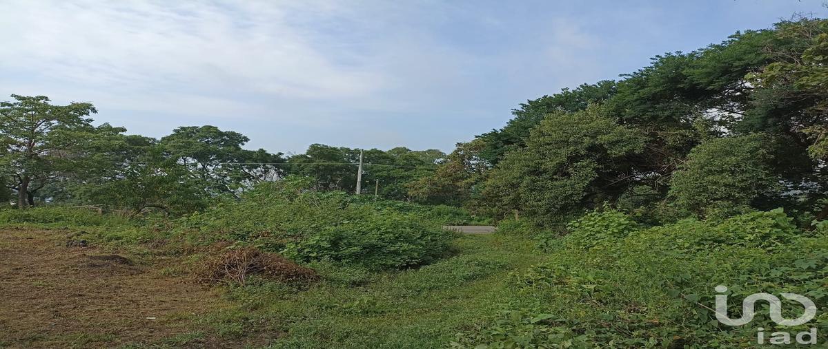 Foto de terreno habitacional en venta en carretera federal yautepec - tepoztlán kilometro 4 , santiago tepetlapa, tepoztlán, morelos, 0 No. 03