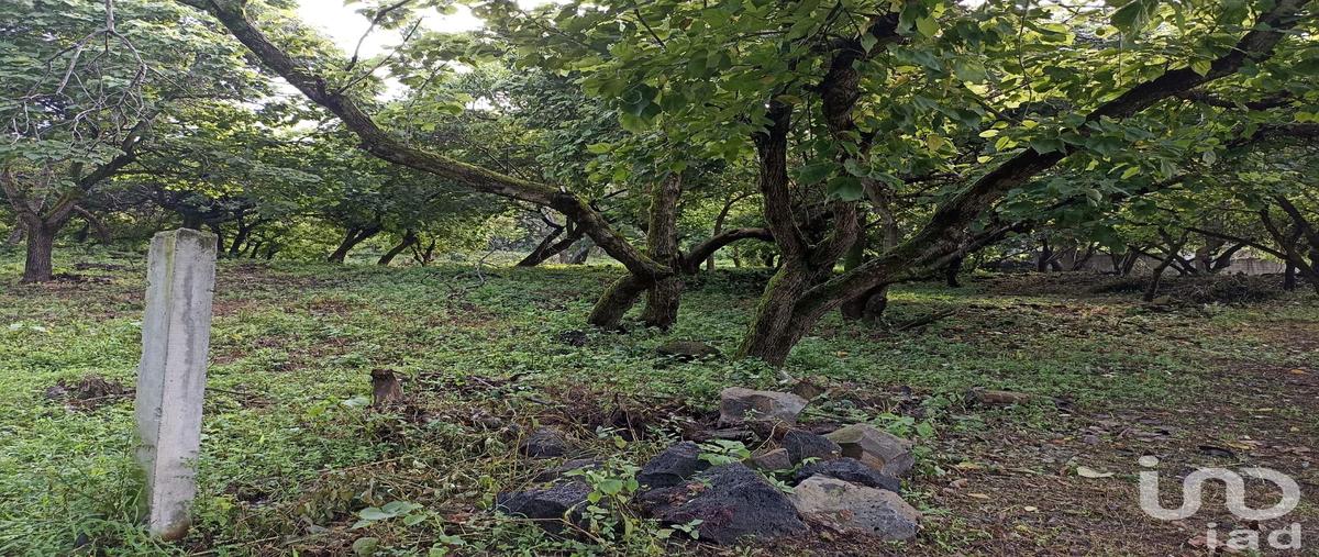 Foto de terreno habitacional en venta en carretera federal yautepec - tepoztlán kilometro 4 , santiago tepetlapa, tepoztlán, morelos, 0 No. 05