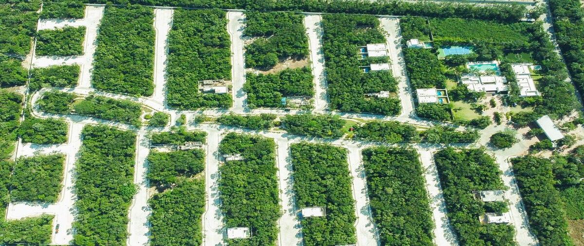 Foto de terreno habitacional en carretera federalcarr. cancún - tulum kilometro 387playa del carmenq.r. , playa del carmen, solidaridad, quintana roo, 0 foto 03 Foto de terreno habitacional en venta en carretera federalcarr. cancún - tulum kilometro 387playa del carmenq.r. , playa del carmen, solidaridad, quintana roo, 0 No. 03