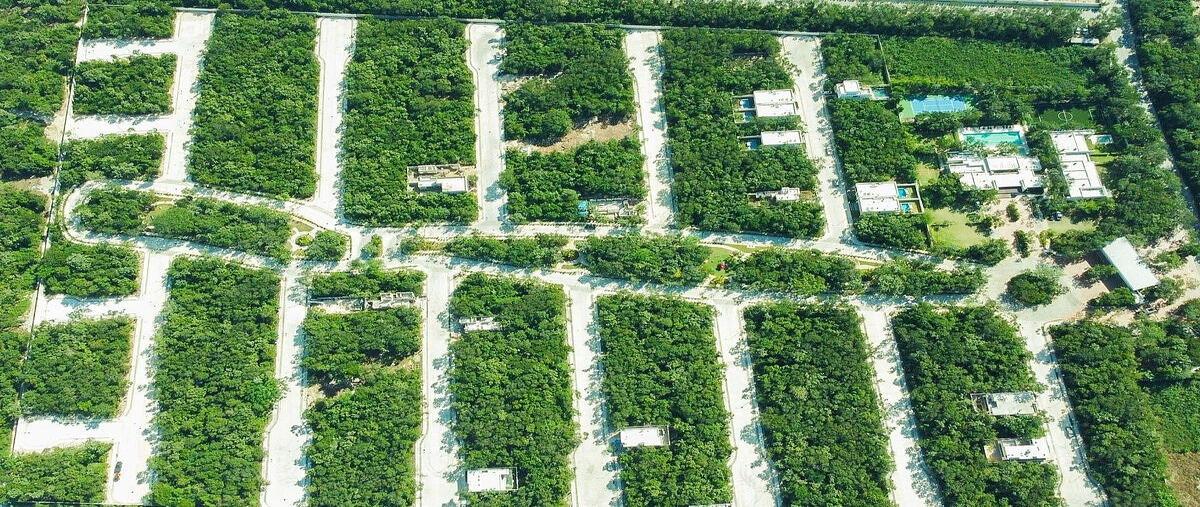 Foto de terreno habitacional en venta en carretera federalcarr. cancún - tulum kilometro 387playa del carmenq.r. , playa del carmen, solidaridad, quintana roo, 0 No. 05