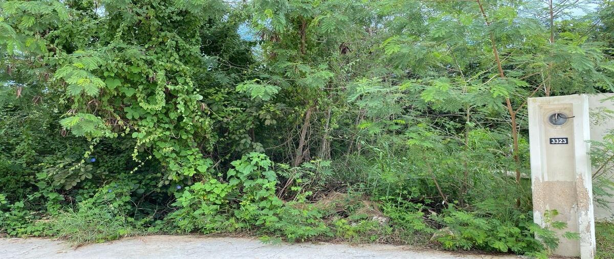 Foto de terreno habitacional en venta en carretera federalcarr. merida , mérida, mérida, yucatán, 0 No. 03