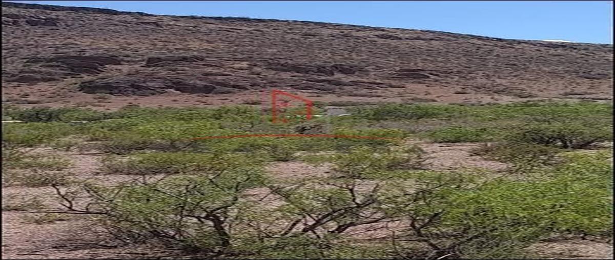 Foto de rancho en venta en carretera flores magon , zona centro, chihuahua, chihuahua, 18346157 No. 03