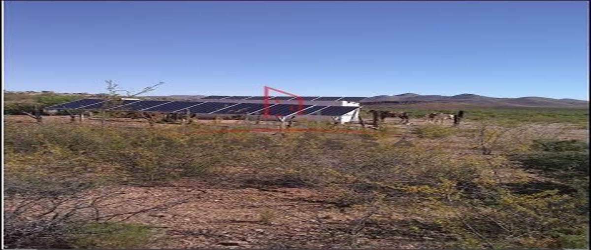 Foto de rancho en venta en carretera flores magon , zona centro, chihuahua, chihuahua, 18346157 No. 04