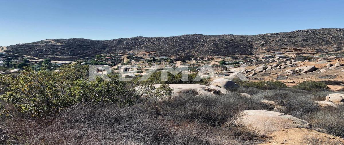 Foto de terreno habitacional en venta en carretera francisco zarco , francisco zarco (valle de guadalupe), ensenada, baja california, 0 No. 03